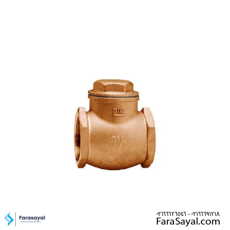 شیر یکطرفه دریچه ای سیم ایتالیا ۸۰-PN۱۶