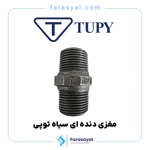 مغزی دنده ای سیاه توپی برزیل